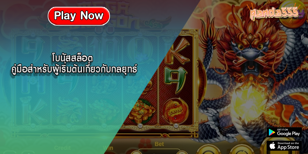 โบนัสสล็อต คู่มือสำหรับผู้เริ่มต้นเกี่ยวกับกลยุทธ์