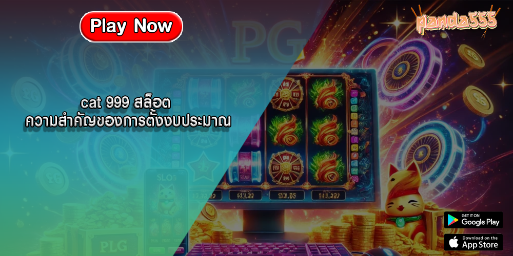 cat 999 สล็อต ความสำคัญของการตั้งงบประมาณ