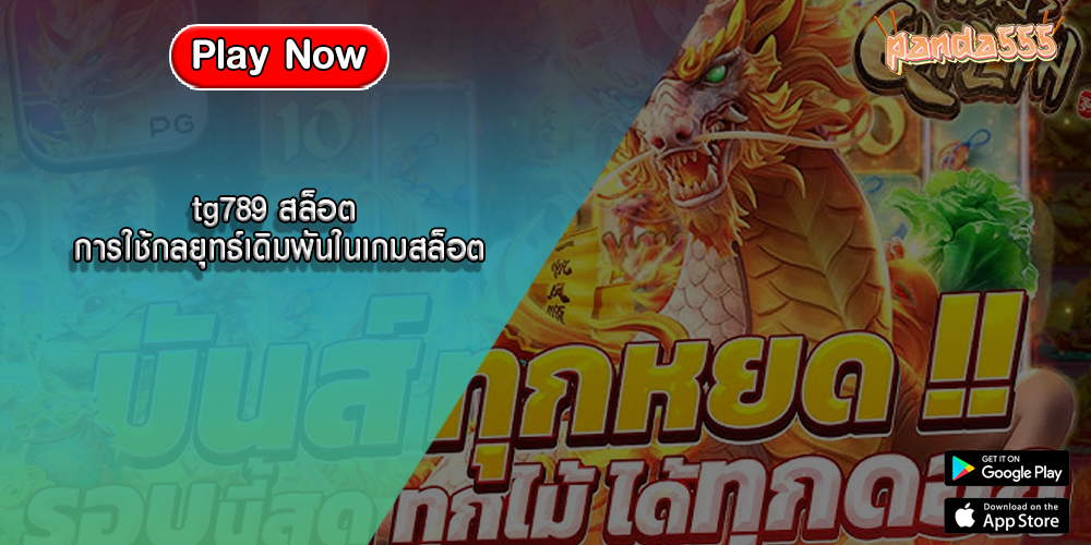 tg789 สล็อต การใช้กลยุทธ์เดิมพันในเกมสล็อต