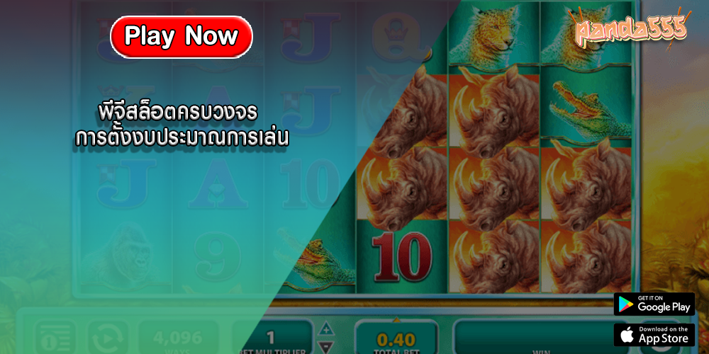 พีจีสล็อตครบวงจร การตั้งงบประมาณการเล่น