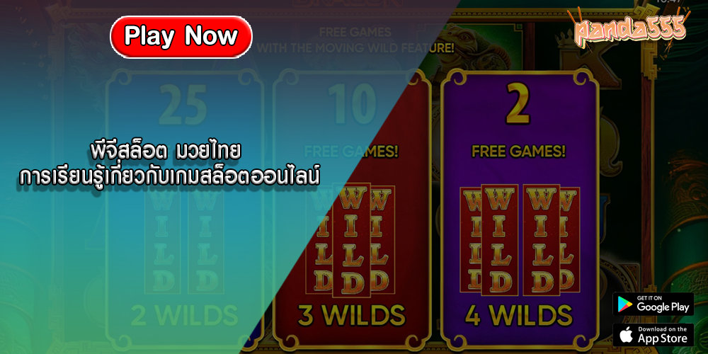พีจีสล็อต มวยไทย การเรียนรู้เกี่ยวกับเกมสล็อตออนไลน์