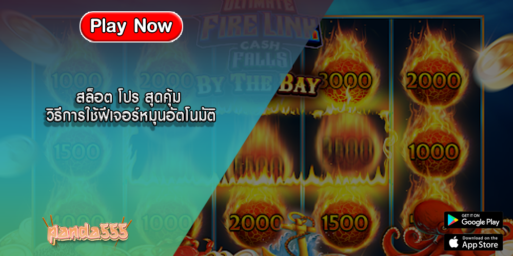 สล็อต โปร สุดคุ้ม วิธีการใช้ฟีเจอร์หมุนอัตโนมัติ