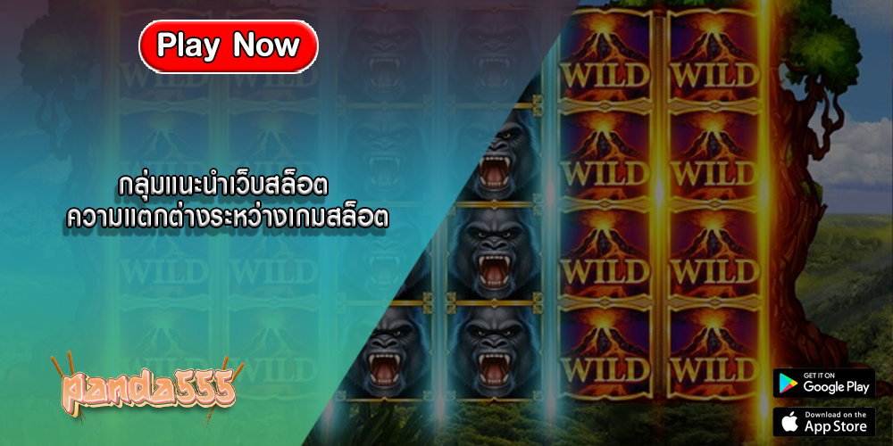 กลุ่มแนะนำเว็บสล็อต ความแตกต่างระหว่างเกมสล็อต