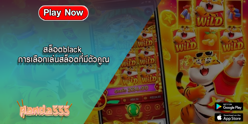 สล็อตblack การเลือกเล่นสล็อตที่มีตัวคูณ