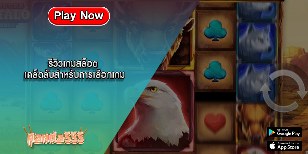 รีวิวเกมสล็อต เคล็ดลับสำหรับการเลือกเกม