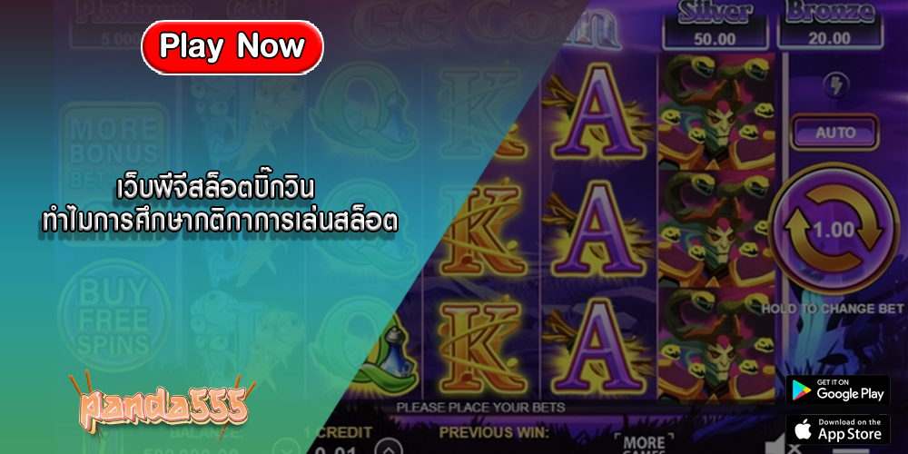 เว็บพีจีสล็อตบิ๊กวิน ทำไมการศึกษากติกาการเล่นสล็อต