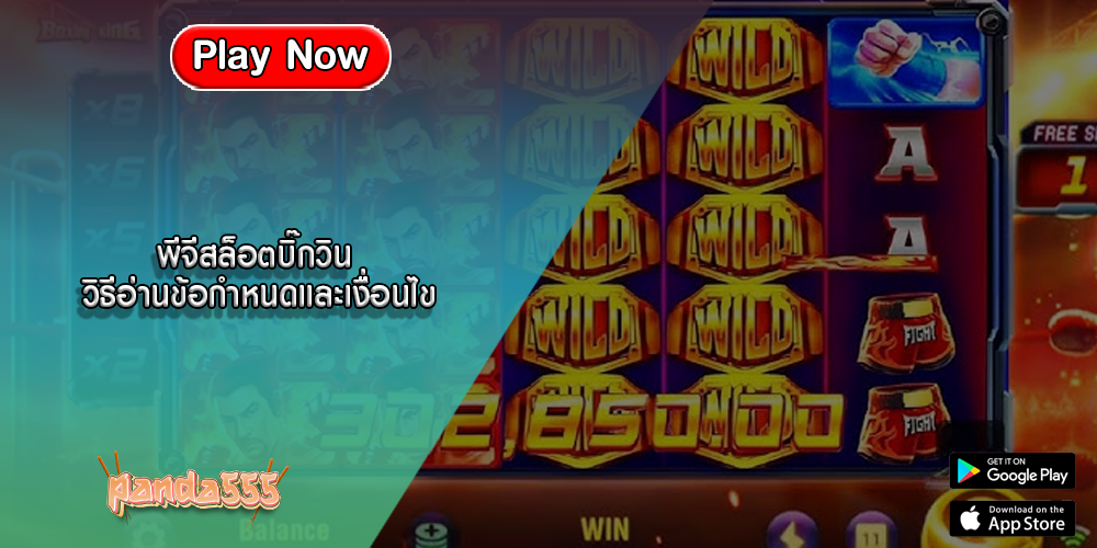 พีจีสล็อตบิ๊กวิน วิธีอ่านข้อกำหนดและเงื่อนไข