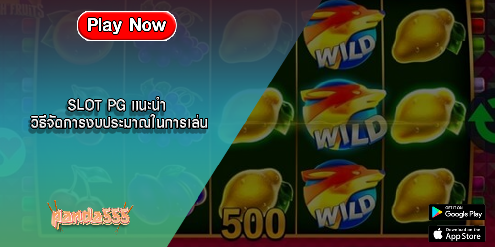 SLOT PG แนะนำ วิธีจัดการงบประมาณในการเล่น