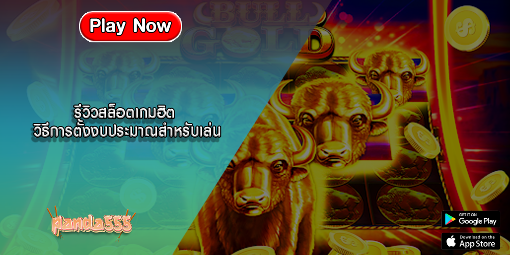 รีวิวสล็อตเกมฮิต วิธีการตั้งงบประมาณสำหรับเล่น