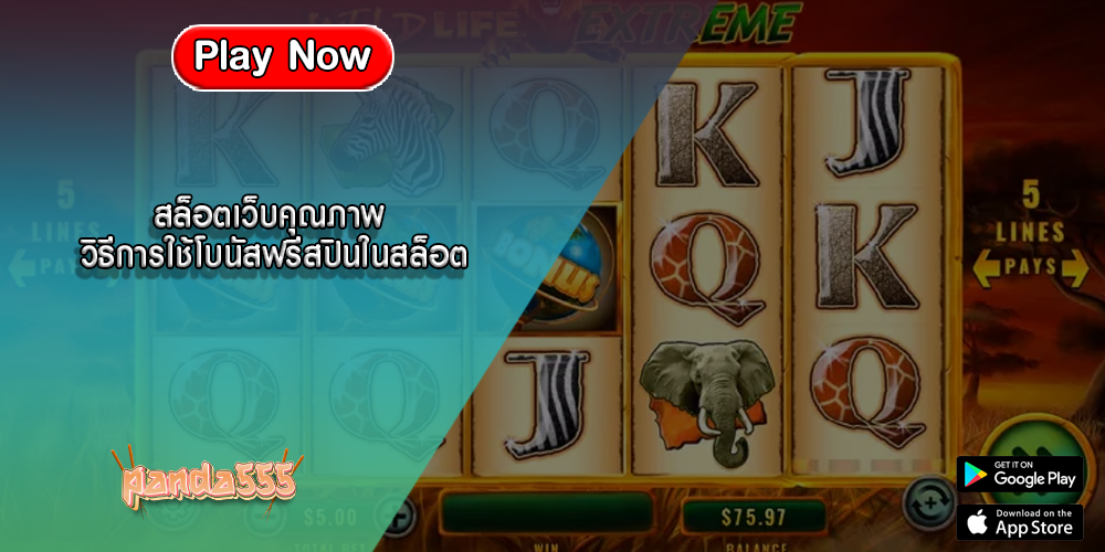 สล็อตเว็บคุณภาพ วิธีการใช้โบนัสฟรีสปินในสล็อต